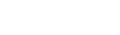 web expert solutions footer logo